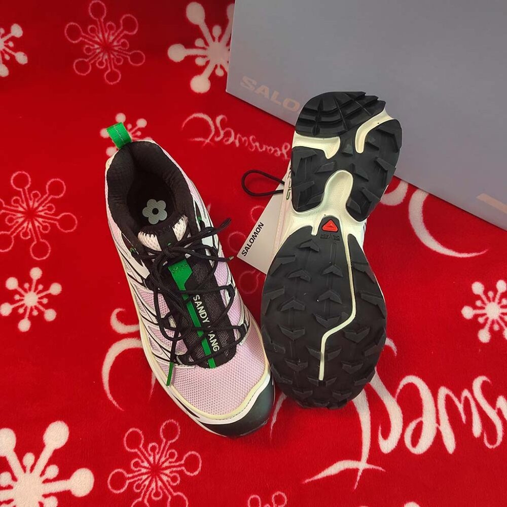 Salomon x Sandy Liang XT-6 Pink
